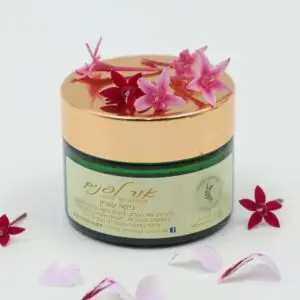 קרם יום אנטי אייג'ינג